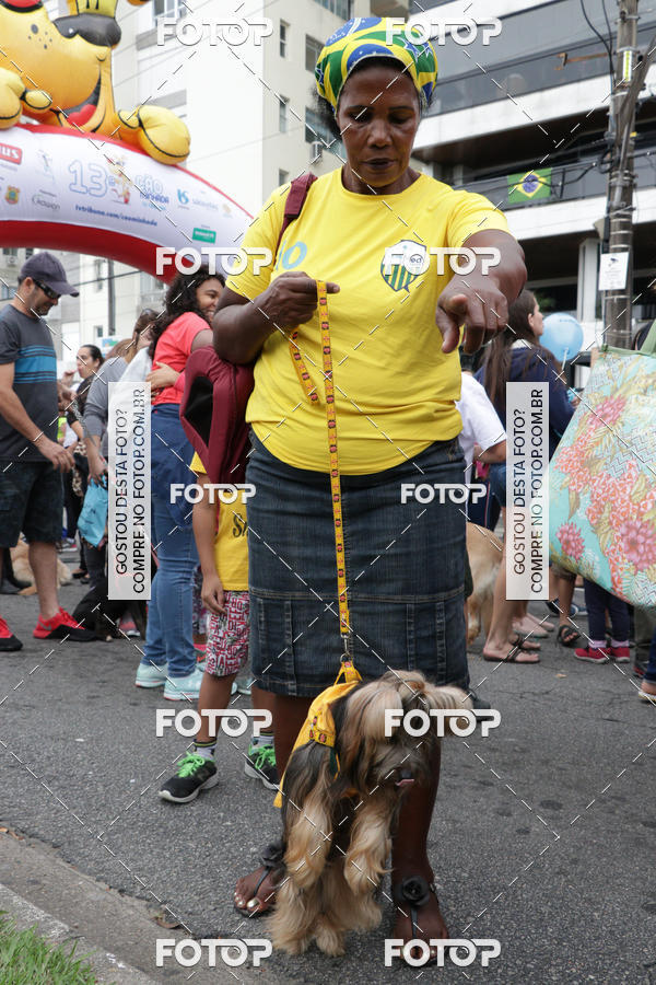 Buy your photos of the event13� C�ominhada - Santos on Fotop