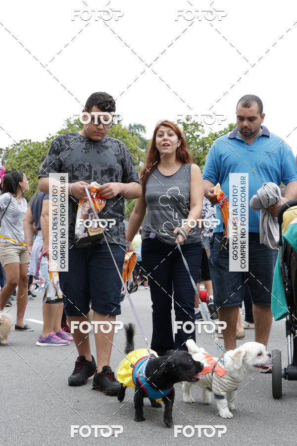 Buy your photos of the event13� C�ominhada - Santos on Fotop