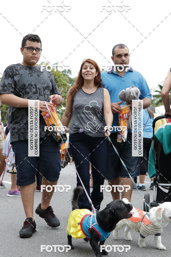 Buy your photos of the event13� C�ominhada - Santos on Fotop