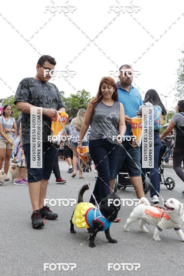 Buy your photos of the event13� C�ominhada - Santos on Fotop