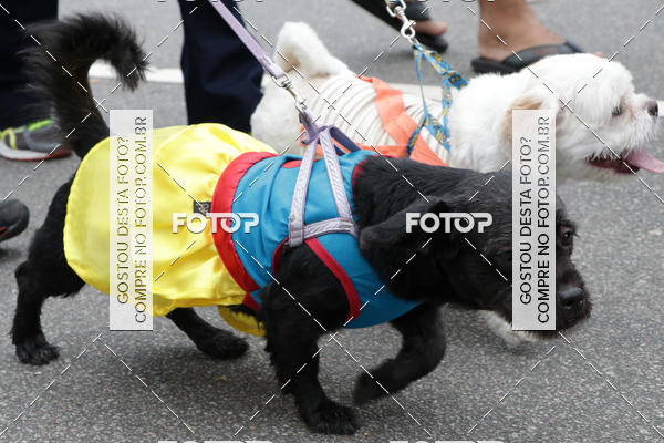 Buy your photos of the event13� C�ominhada - Santos on Fotop