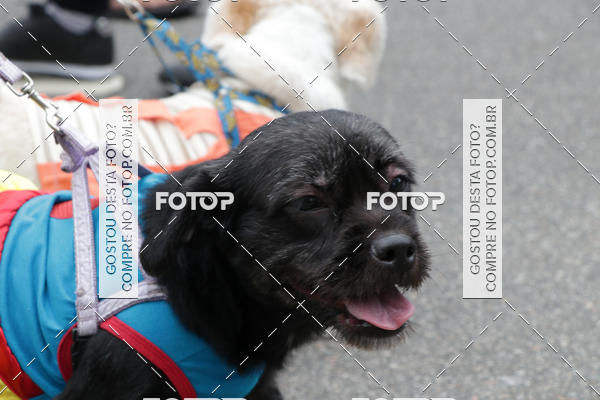 Buy your photos of the event13� C�ominhada - Santos on Fotop