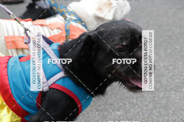 Buy your photos of the event13� C�ominhada - Santos on Fotop