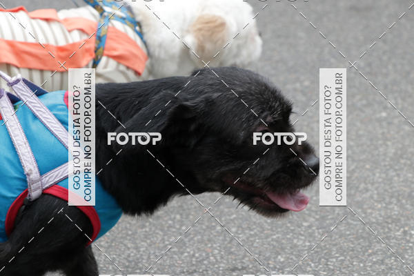 Buy your photos of the event13� C�ominhada - Santos on Fotop