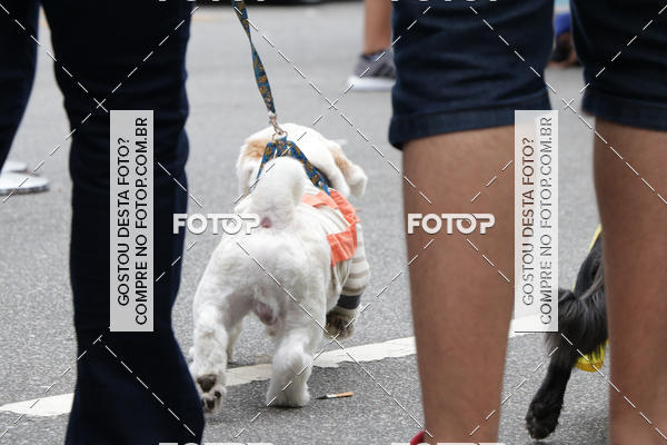 Buy your photos of the event13� C�ominhada - Santos on Fotop