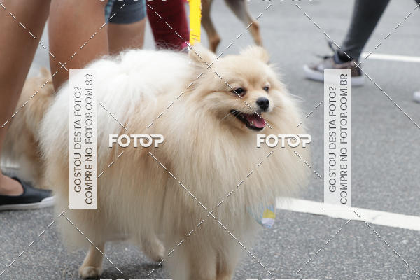 Buy your photos of the event13� C�ominhada - Santos on Fotop