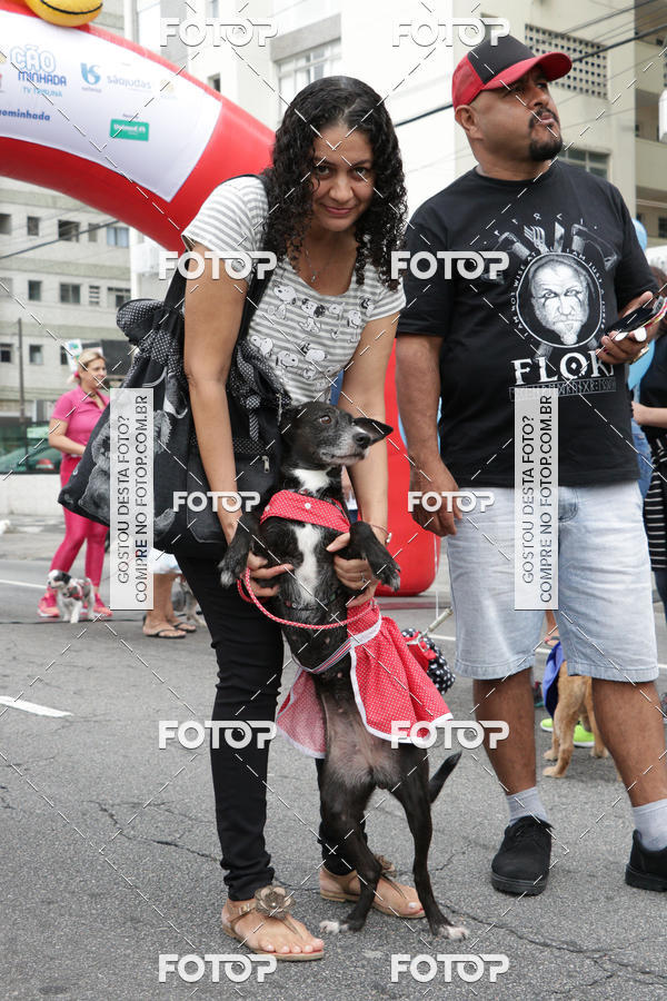 Buy your photos of the event13 Cominhada - Santos on Fotop
