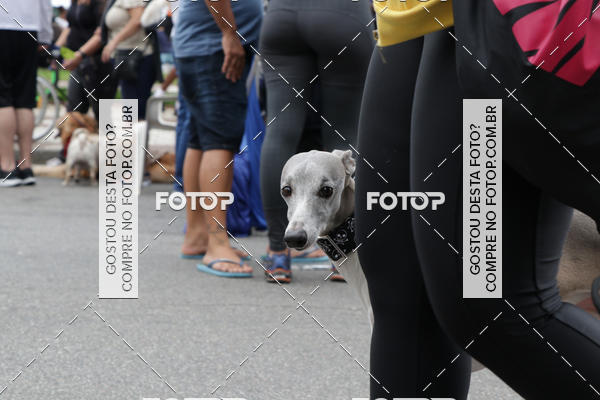 Buy your photos of the event13� C�ominhada - Santos on Fotop