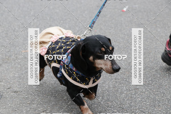 Buy your photos of the event13� C�ominhada - Santos on Fotop