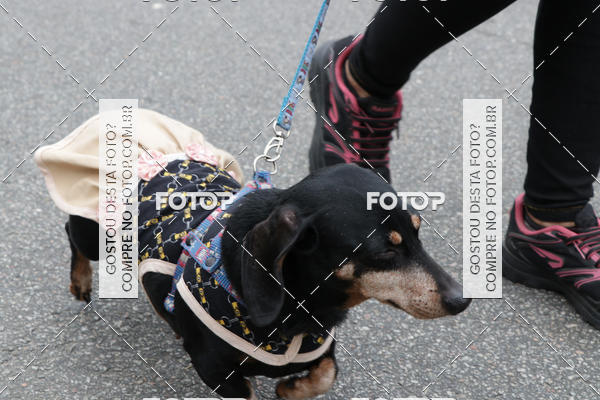 Buy your photos of the event13� C�ominhada - Santos on Fotop