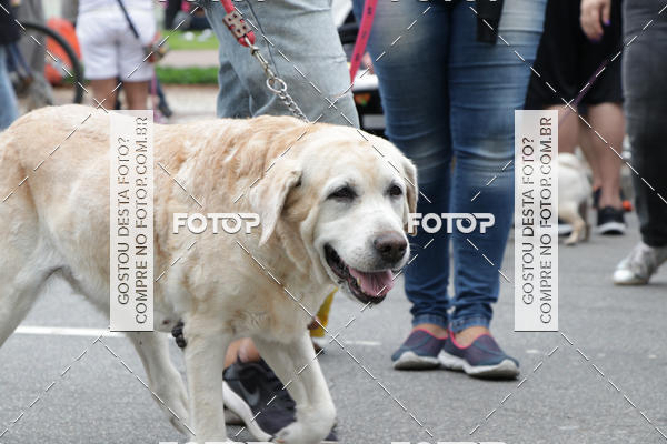 Buy your photos of the event13� C�ominhada - Santos on Fotop