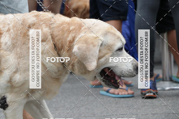 Buy your photos of the event13� C�ominhada - Santos on Fotop