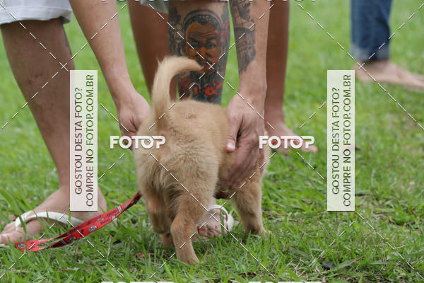 Buy your photos of the event13� C�ominhada - Santos on Fotop