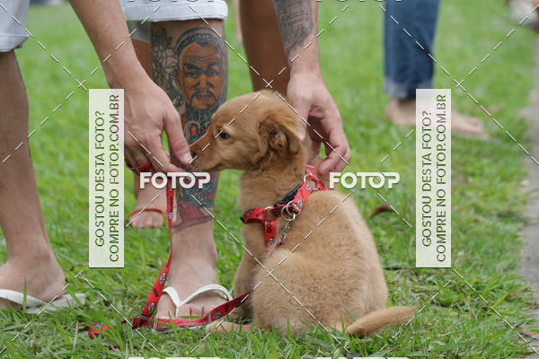 Buy your photos of the event13� C�ominhada - Santos on Fotop