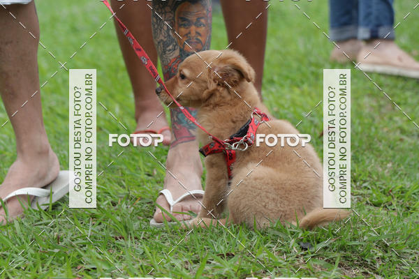 Buy your photos of the event13� C�ominhada - Santos on Fotop