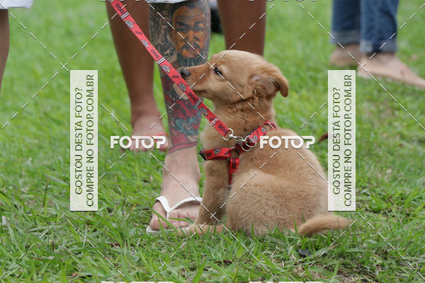 Buy your photos of the event13� C�ominhada - Santos on Fotop