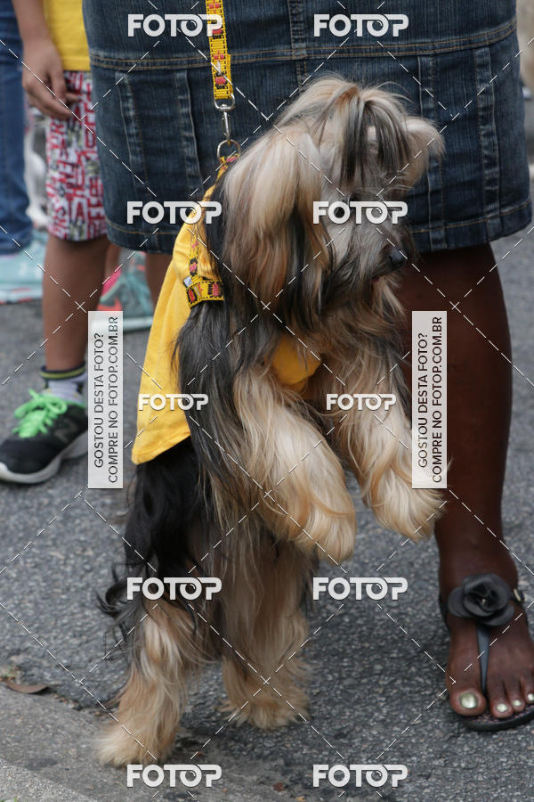 Buy your photos of the event13� C�ominhada - Santos on Fotop