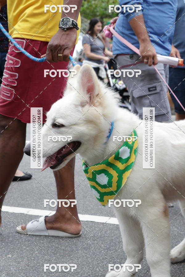 Buy your photos of the event13� C�ominhada - Santos on Fotop