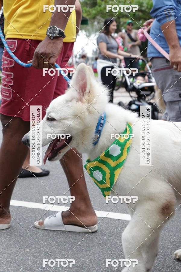 Buy your photos of the event13� C�ominhada - Santos on Fotop