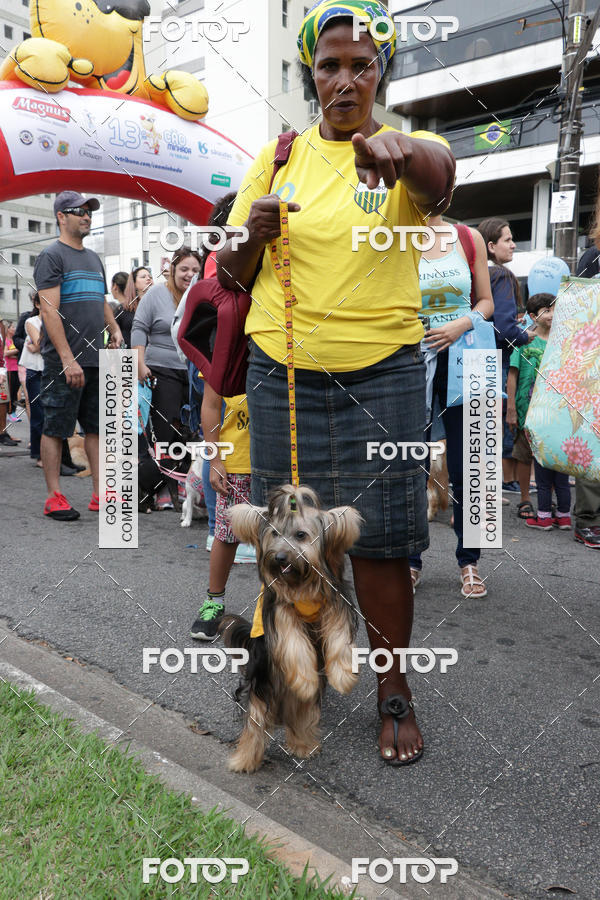 Buy your photos of the event13� C�ominhada - Santos on Fotop
