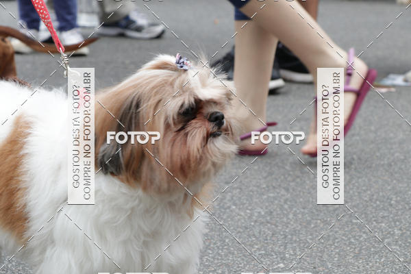 Buy your photos of the event13� C�ominhada - Santos on Fotop