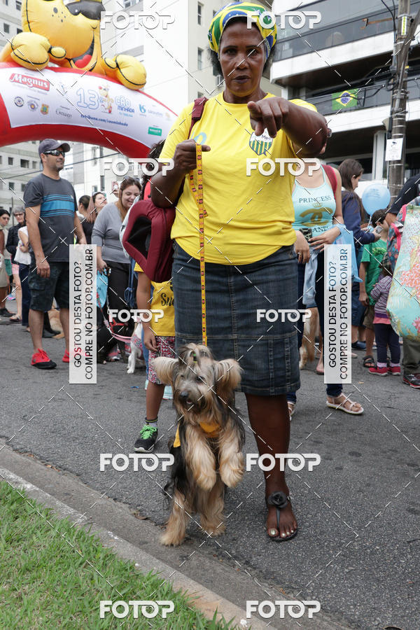 Buy your photos of the event13� C�ominhada - Santos on Fotop