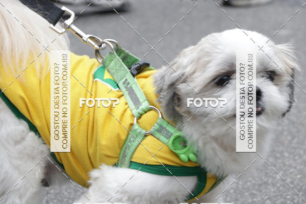 Buy your photos of the event13� C�ominhada - Santos on Fotop