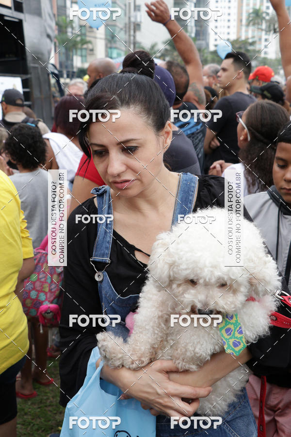 Buy your photos of the event13� C�ominhada - Santos on Fotop