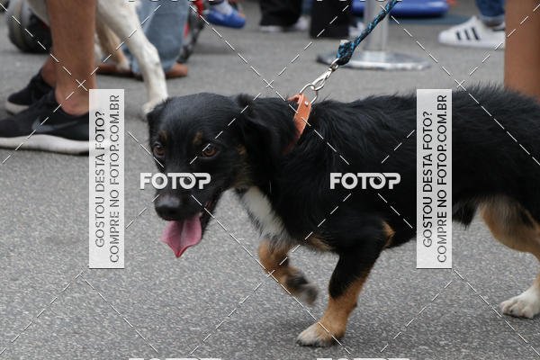 Buy your photos of the event13� C�ominhada - Santos on Fotop