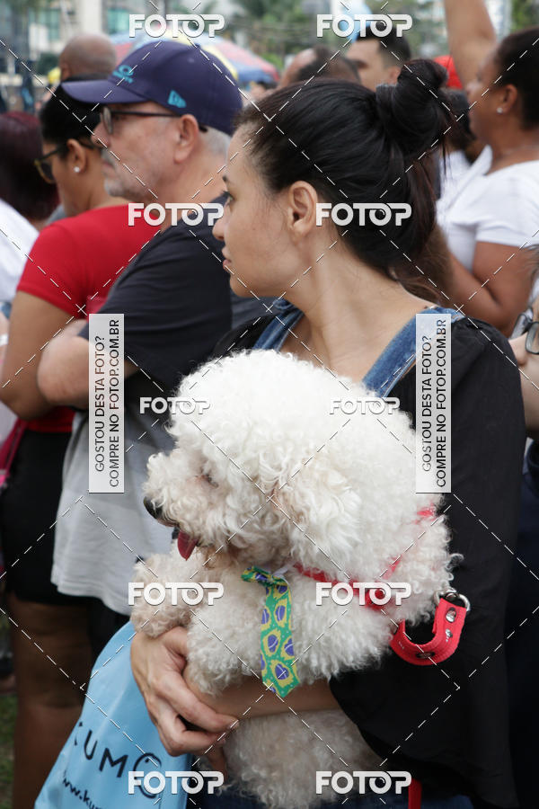 Buy your photos of the event13� C�ominhada - Santos on Fotop