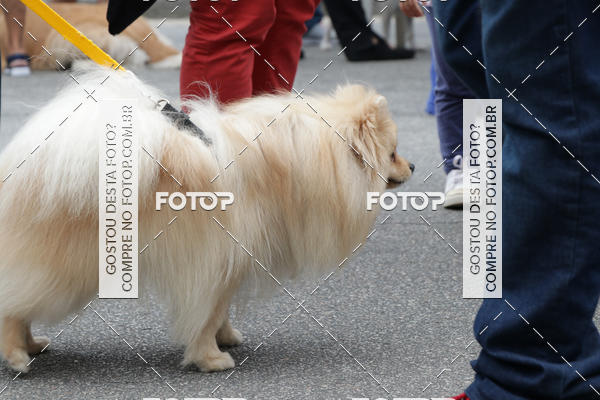 Buy your photos of the event13� C�ominhada - Santos on Fotop