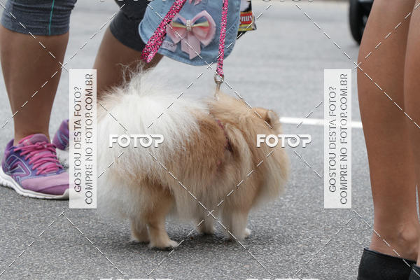 Buy your photos of the event13� C�ominhada - Santos on Fotop