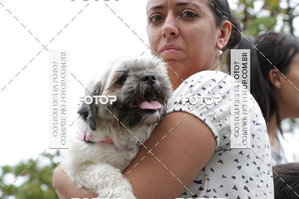 Buy your photos of the event13� C�ominhada - Santos on Fotop