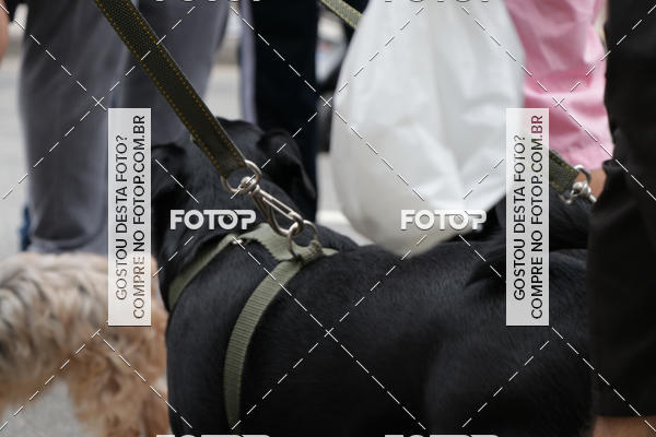 Buy your photos of the event13� C�ominhada - Santos on Fotop