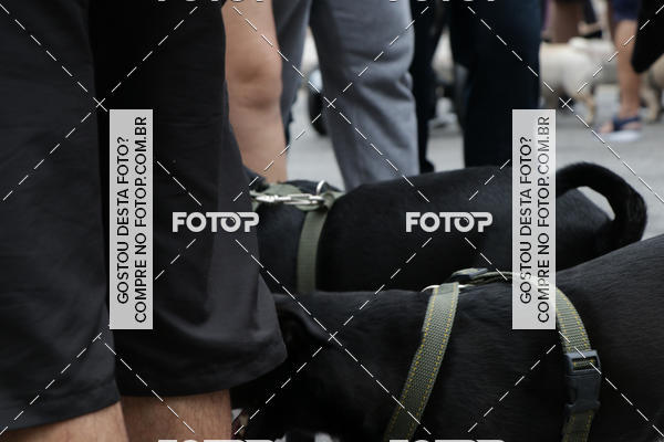 Buy your photos of the event13� C�ominhada - Santos on Fotop