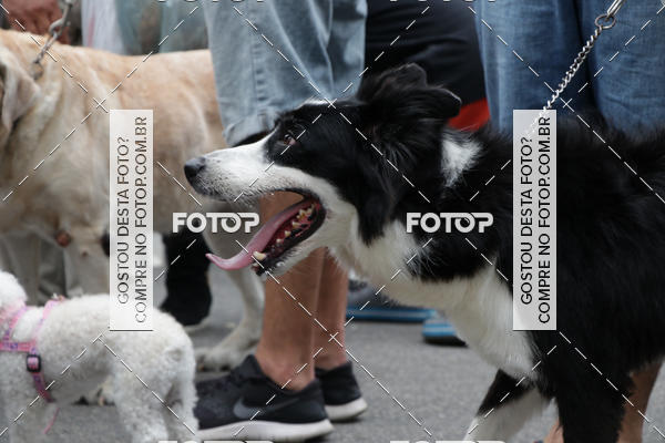 Buy your photos of the event13� C�ominhada - Santos on Fotop