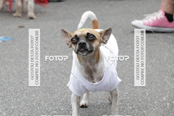 Buy your photos of the event13� C�ominhada - Santos on Fotop