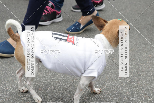 Buy your photos of the event13� C�ominhada - Santos on Fotop