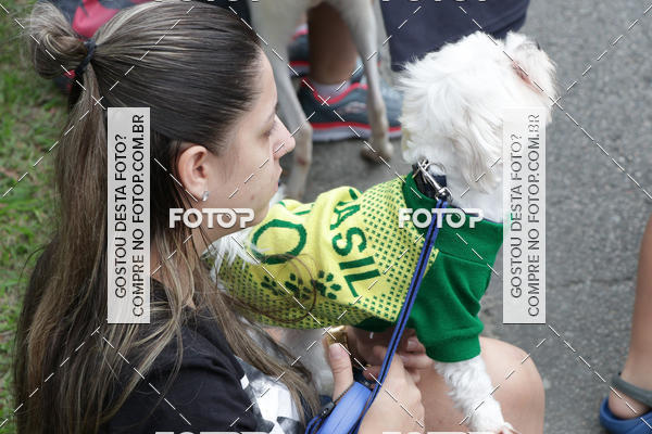 Buy your photos of the event13� C�ominhada - Santos on Fotop