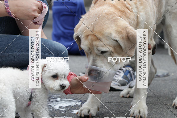 Buy your photos of the event13� C�ominhada - Santos on Fotop