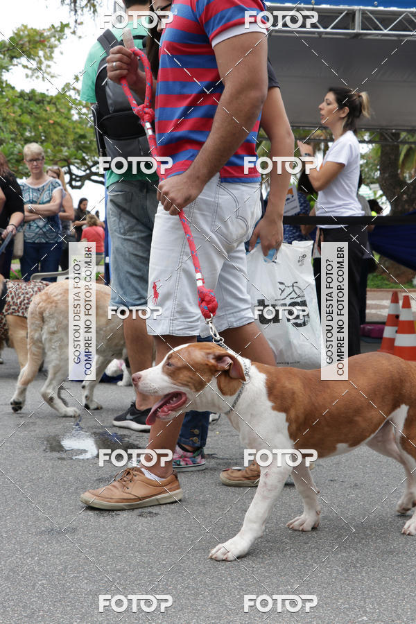 Buy your photos of the event13� C�ominhada - Santos on Fotop