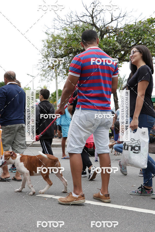 Buy your photos of the event13� C�ominhada - Santos on Fotop