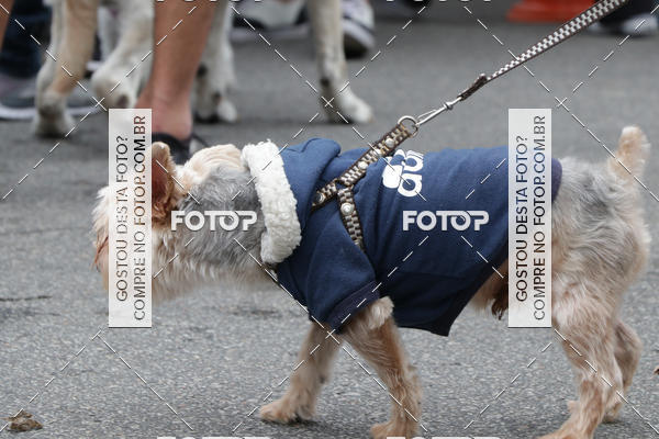 Buy your photos of the event13� C�ominhada - Santos on Fotop