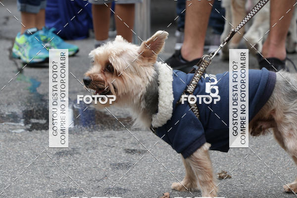 Buy your photos of the event13� C�ominhada - Santos on Fotop