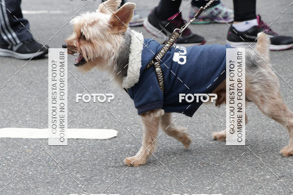 Buy your photos of the event13� C�ominhada - Santos on Fotop