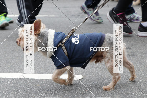 Buy your photos of the event13� C�ominhada - Santos on Fotop