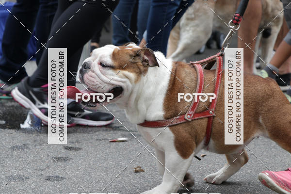 Buy your photos of the event13� C�ominhada - Santos on Fotop