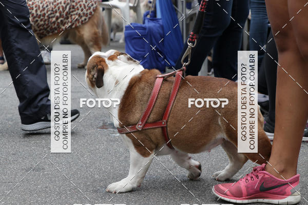 Buy your photos of the event13� C�ominhada - Santos on Fotop