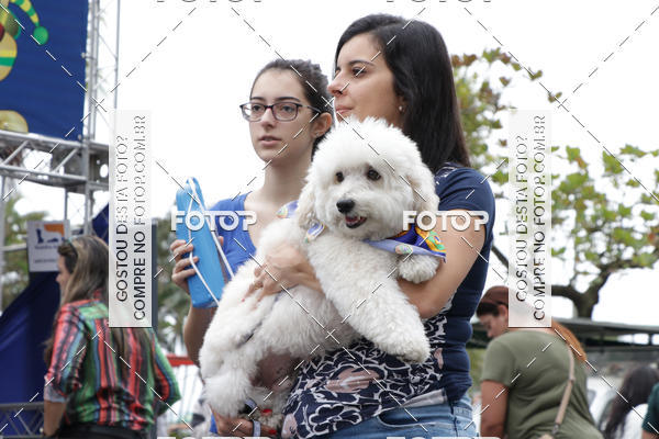 Buy your photos of the event13� C�ominhada - Santos on Fotop