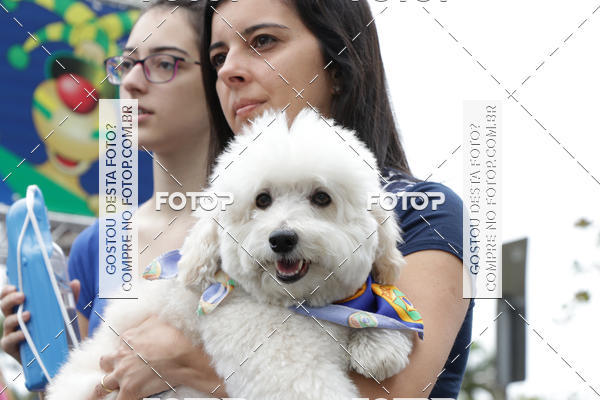 Buy your photos of the event13� C�ominhada - Santos on Fotop